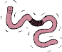 Earthworms can help your garden, even in Alaska.